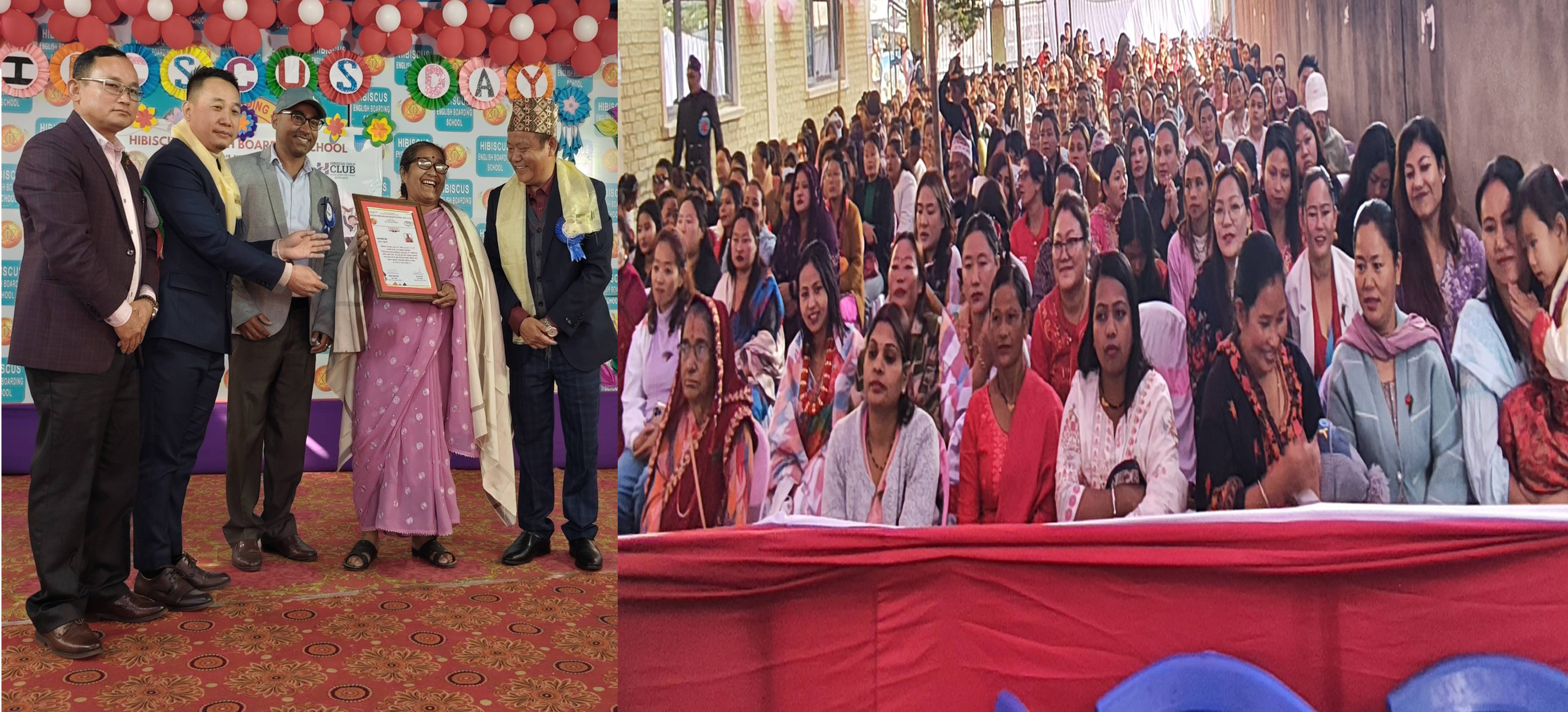 HIBISCUS NEWS PHOTO = 4