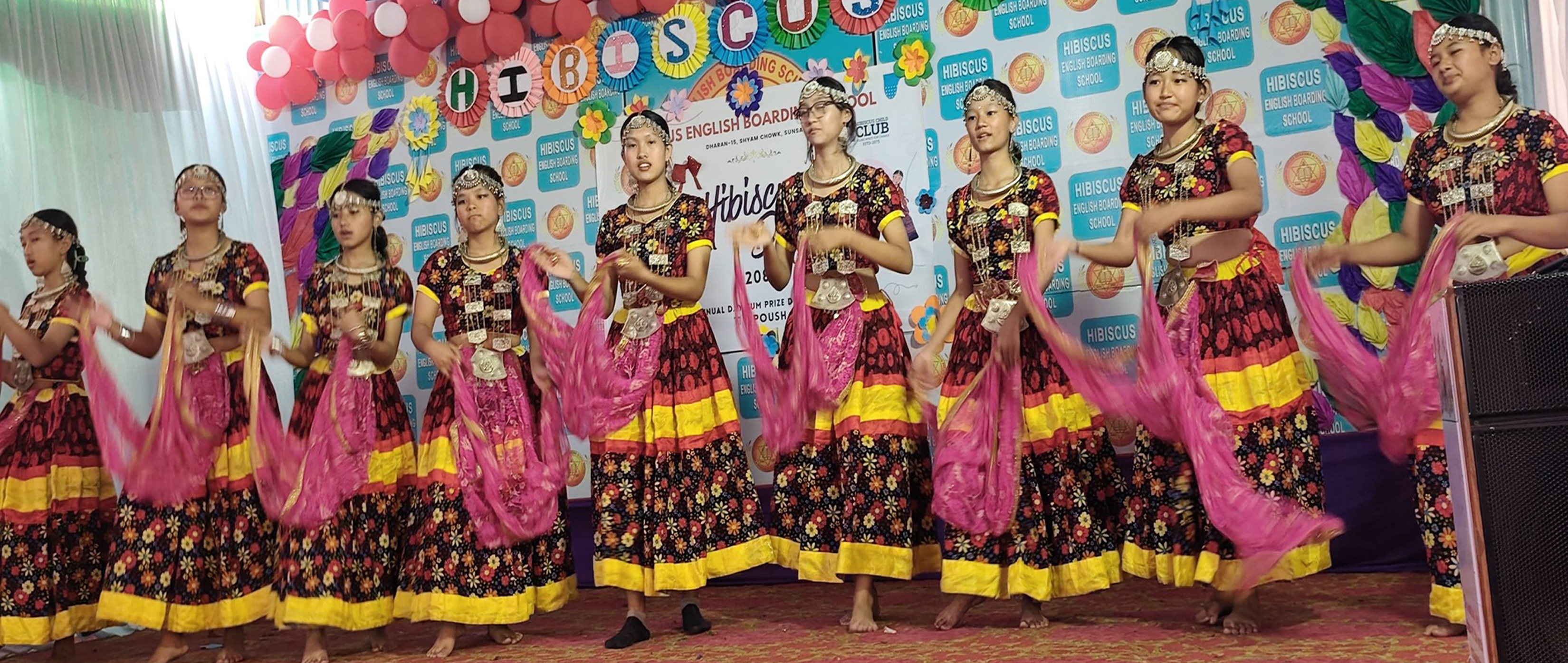 HIBISCUS NEWS PHOTO = 5